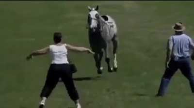 This woman really thought she could singlehandedly stop a charging horse 😅