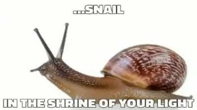 churchofsnail