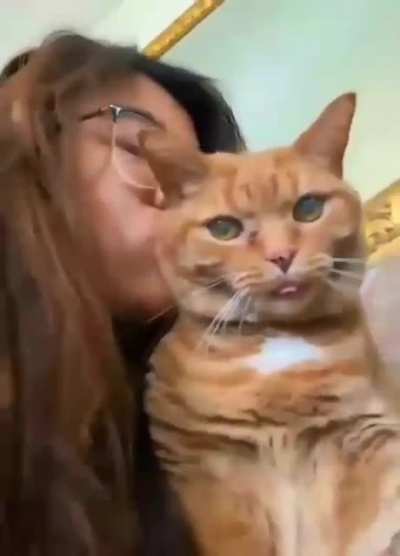purrfectlycatscream
