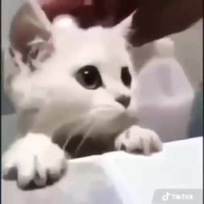 '-'