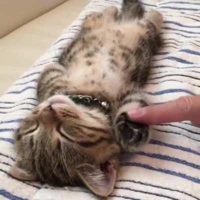 He's asleep