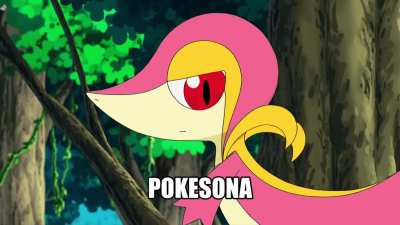Pokesona_irl