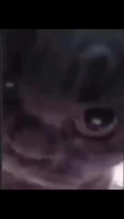 he see you
