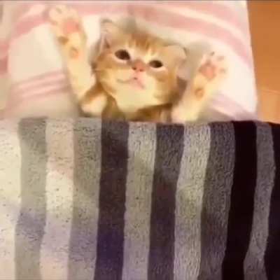 Sleepy wunk :)