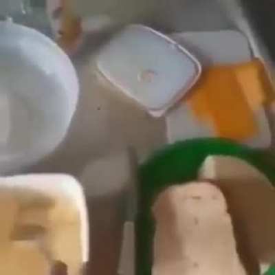 melhor pontaria
