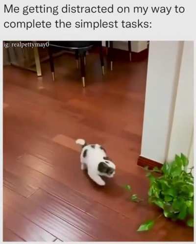 me_irl