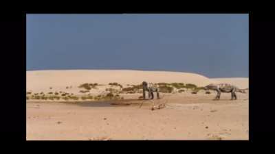 The dicynodont jumpscare