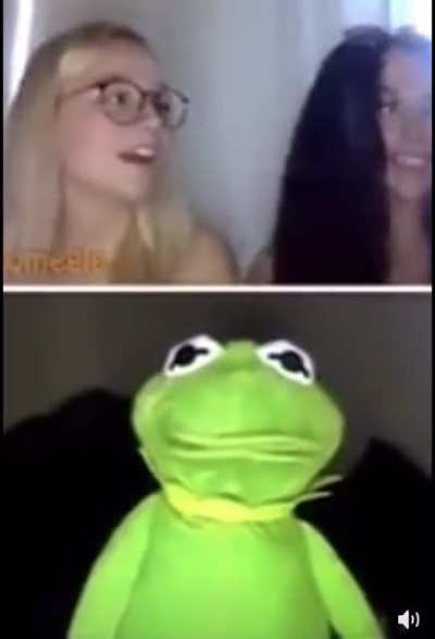 Kermit is up to something quest<wbr>ionab<wbr>le...