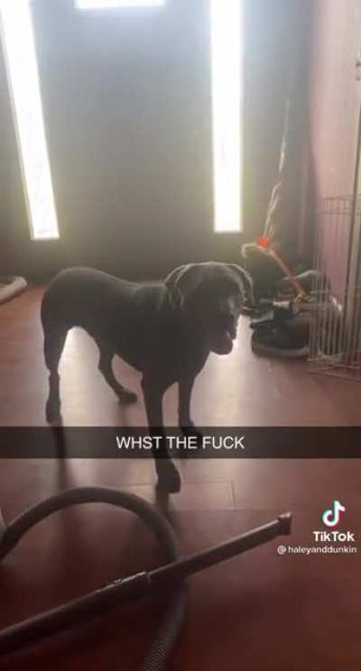 Scared of words