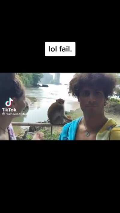 Petting a monkey