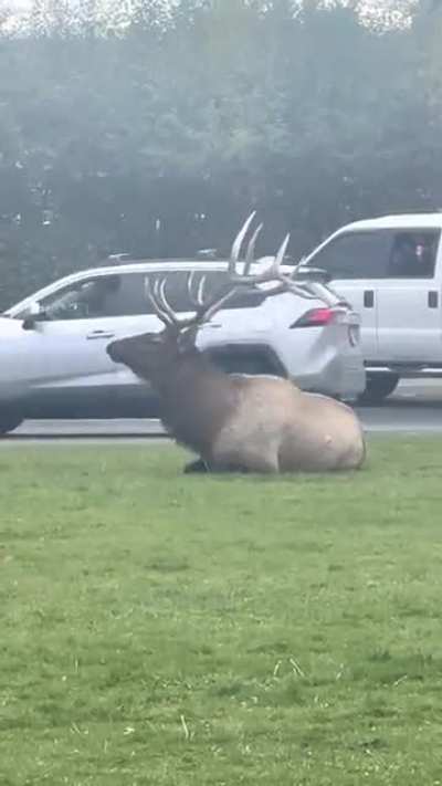 Too much things going in in this video (use sound as well)