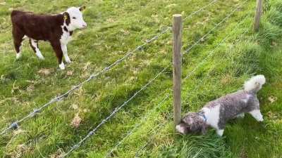 “Moooooo… ommm! Are you seeing this??!”