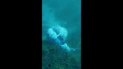 Manatees are basically 
