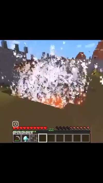 Minion vs Noinim