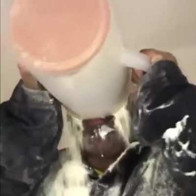 Dusty ass milkshake cut scream