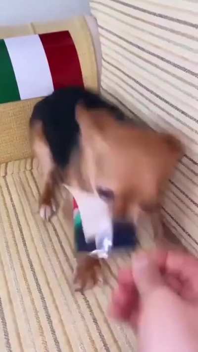 He's not afraid of anyone