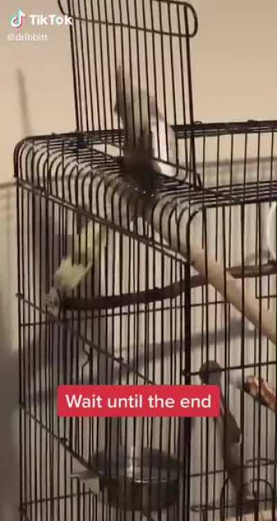 You’re gonna fall!