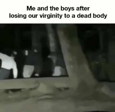 The dark knights