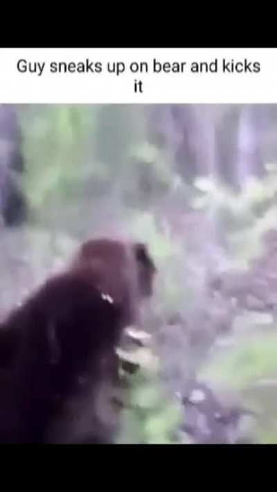 Guy sneaks up on bear and kicks it