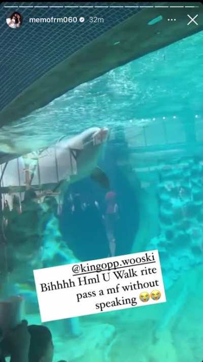 memo got no chill<wbr>ð­ð<wbr>­