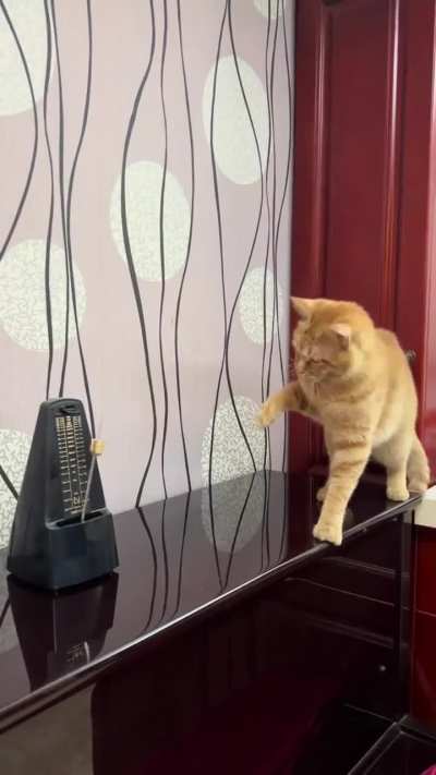 Maybe maybe maybe