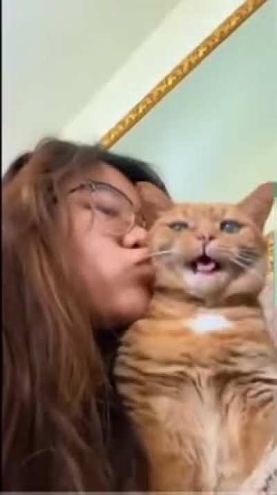 Well the cat wasn’t having it