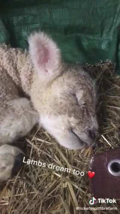 Dreaming about Mary