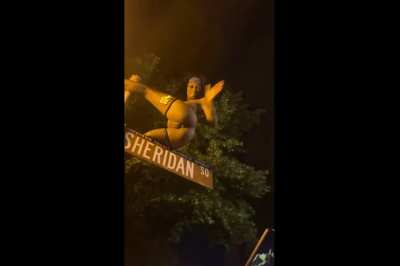 Sheridan SQ