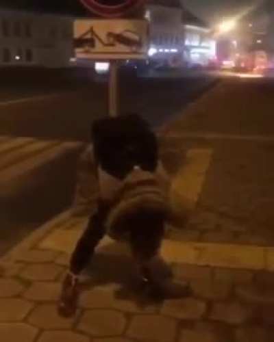 Low IQ person Vs a street sign Fight!