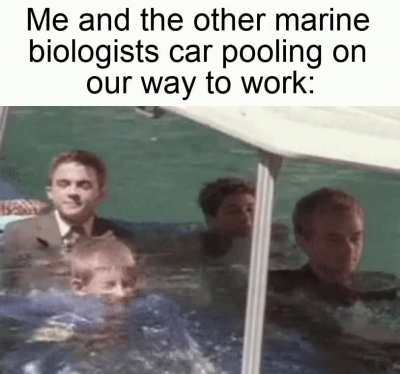 Best way to save on fuel