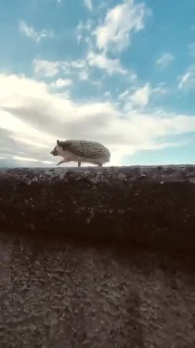 Туман рассе<wbr>ялся