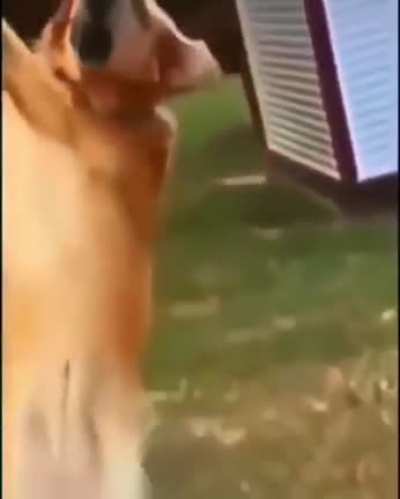 Um título foda