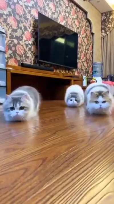 :’3