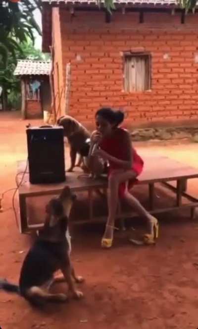 Valeu Francisco!