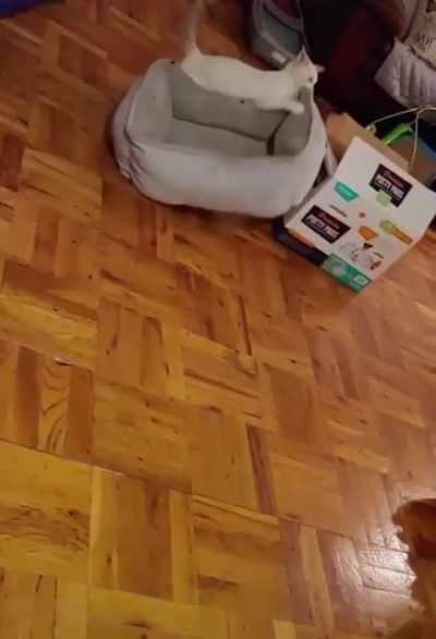 Trying to get that new king size bed to fit into your room