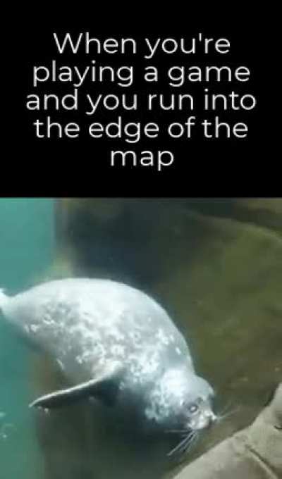 *b o n k*
