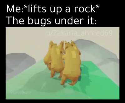 They're having a party