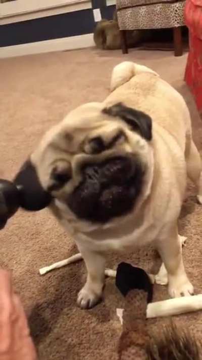Massage doggo
