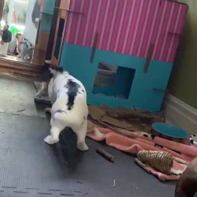 Slow-mo binky!!!!