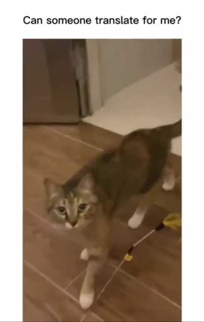 Huh..?