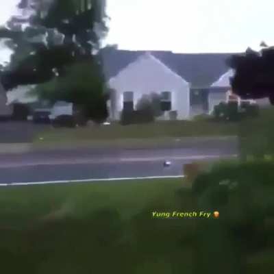 La wea sarurada