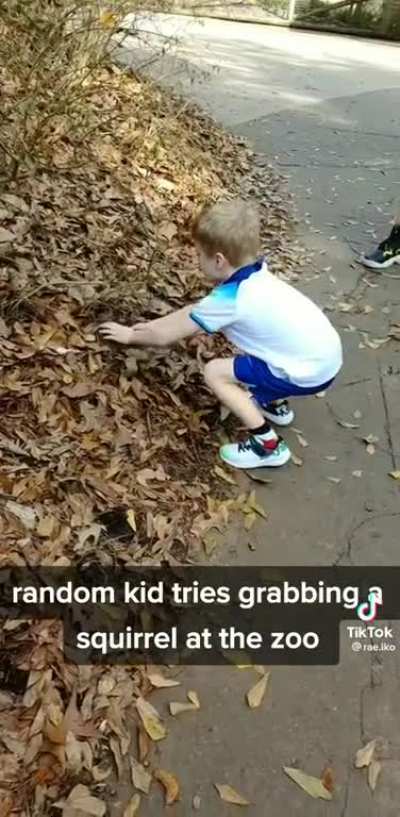To pick up a squirrel