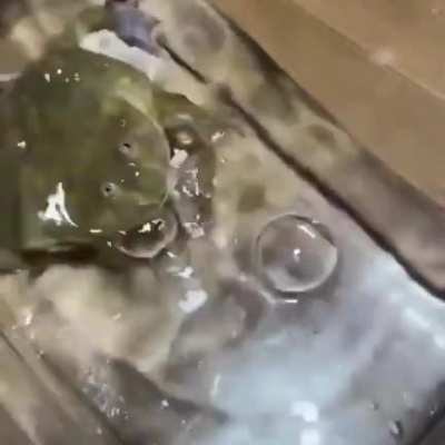 fuggy