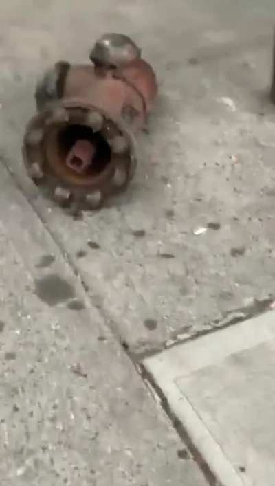 Trucker driving a truck illegal for residential streets in NYC creates chaos and destruction in Queens