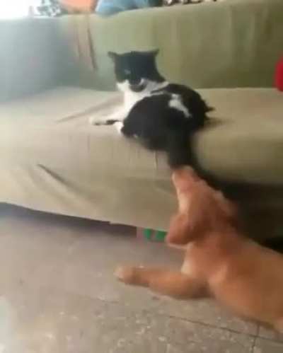Maybe Maybe Maybe