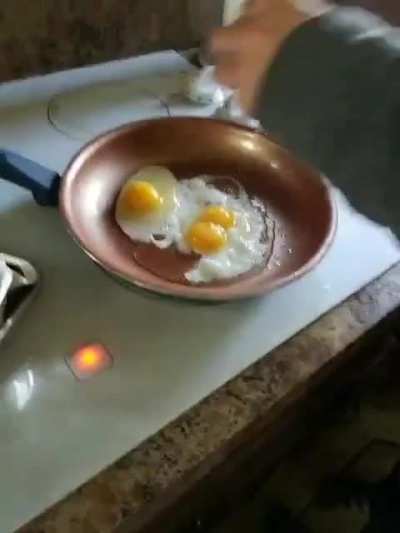 4x The Eggs