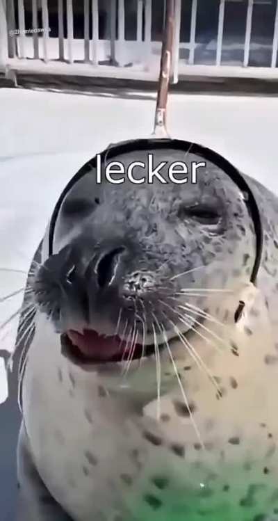 Das wunken