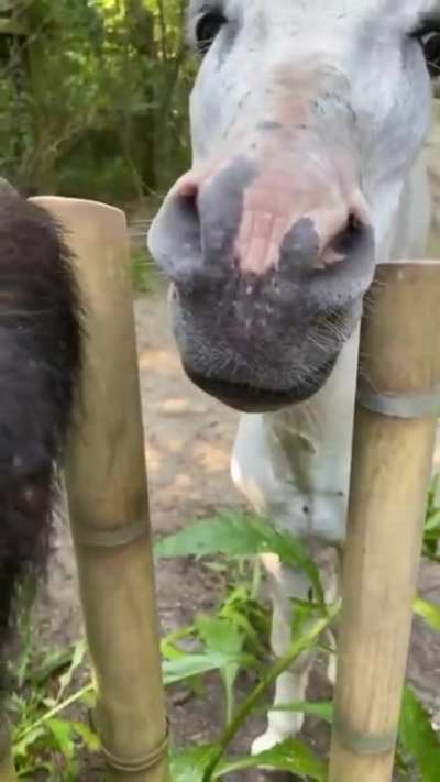 Будеш<wbr>ь?.. Ну, тода бывай друг