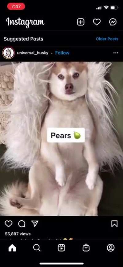 Stolen from insta