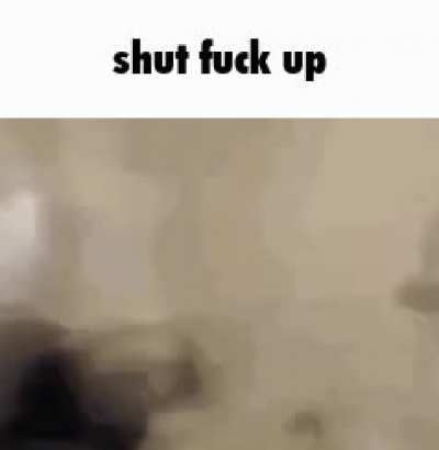 Me when twitter